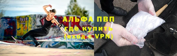 крисы Осинники
