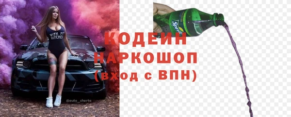 крисы Осинники