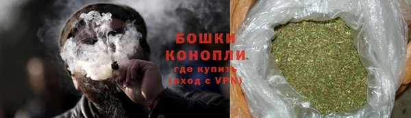 крисы Осинники
