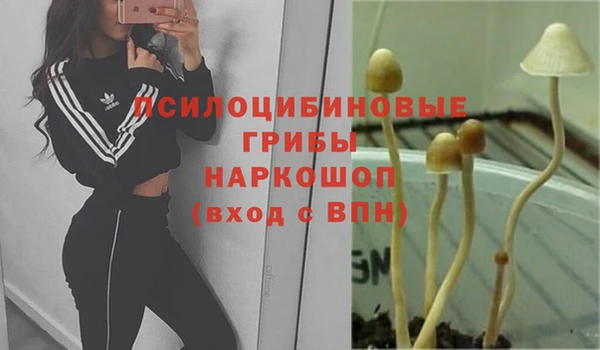 бошки Остров