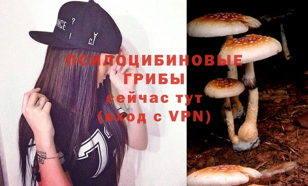 мяу мяу кристалл Корсаков