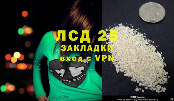 прущие грибы Гусь-Хрустальный