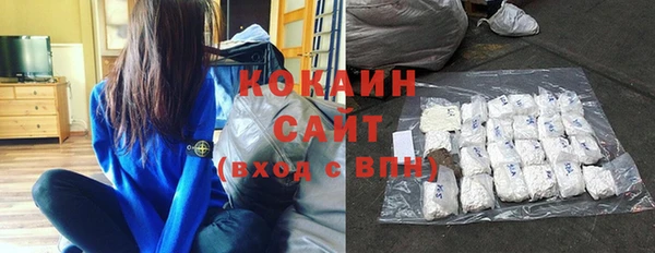крисы Осинники