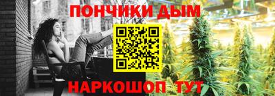 прущие крисы Бийск