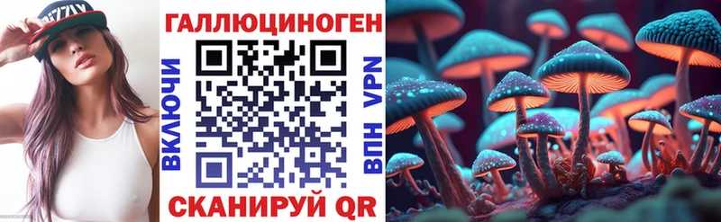 Галлюциногенные грибы GOLDEN TEACHER Богородск