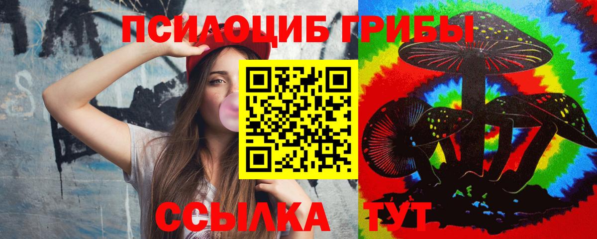 Галлюциногенные грибы Psilocybe Богородск