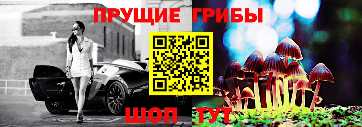 Галлюциногенные грибы мицелий Богородск