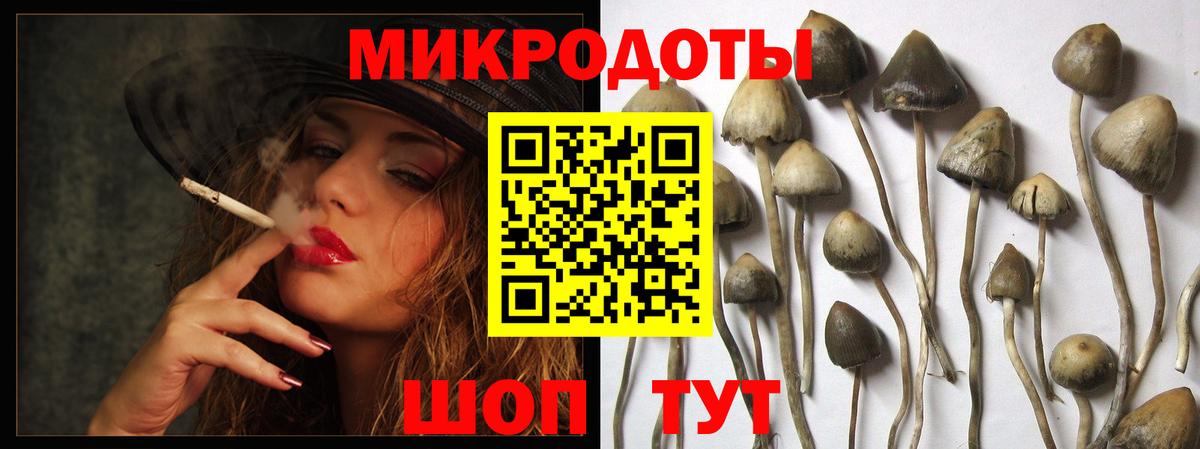 Галлюциногенные грибы мухоморы  Вход с VPN  Богородск 